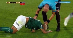 დეივერსონის სიმულაცია და მსაჯის რეაქცია კოპა ლიბერტადორესის ფინალში