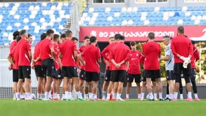 საქართველოს ნაკრების საბოლოო განაცხადი ჩრდ. ირლანდიასთან მატჩისთვის