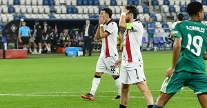 საქართველო ჩრდილოეთ ირლანდიასთან დამარცხდა | ფეხბურთელების შეფასებები