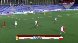 რიკარდ ფერნანდესი პოლონეთთან 21-ე წამზე გააძევეს