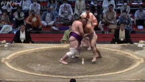 ტოჩინოშინმა ნაგოია ბაშო მოგებით დაასრულა