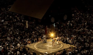 სუმო - ნოემბრის ბანძუკე ცნობილია