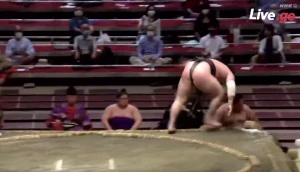 თეთრი ფენიქსი კვლავ დაუმარცხებელია (ვიდეო)