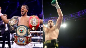 ედი ჰერნი: ჟოშუამ და ფიურიმ ბრძოლის დეტალები შეათანხმეს