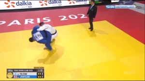 მსაჯების შეცდომა?! - ლიპარტელიანი ფინალში დამარცხდა (ვიდეო)