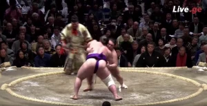 მეხუთე გამარჯვება ! ტოჩინოშინმა ასანოიამა დაამარცხა (ვიდეო)