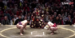 ენდო დამარცხებულია ! ენჰოს საოცრებათა სერია გრძელდება (ვიდეო)