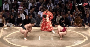 ენჰოს უცნაური ტაჩიაი (ვიდეო)