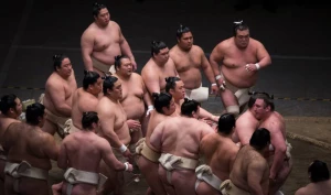 ნაცუ ბაშოს ორი გოლიათი მოეხსნა!