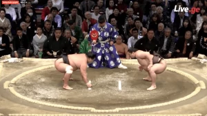 იოკოძუნა ჰაკუჰოს უმარტივესი გამარჯვება მიოგირიუსთან (ვიდეო)