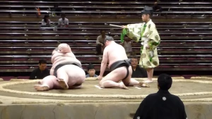 ყველა დროის ყველაზე მძიმე სუმოისტი - ორორა სატოში (ვიდეო)