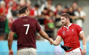 უელსი 43:14 საქართველო (მიმოხილვა)