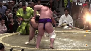 კვლავ მონოი შეიკრიბა - ტოჩინოშინი კვლავ დამარცხდა (ვიდეო)