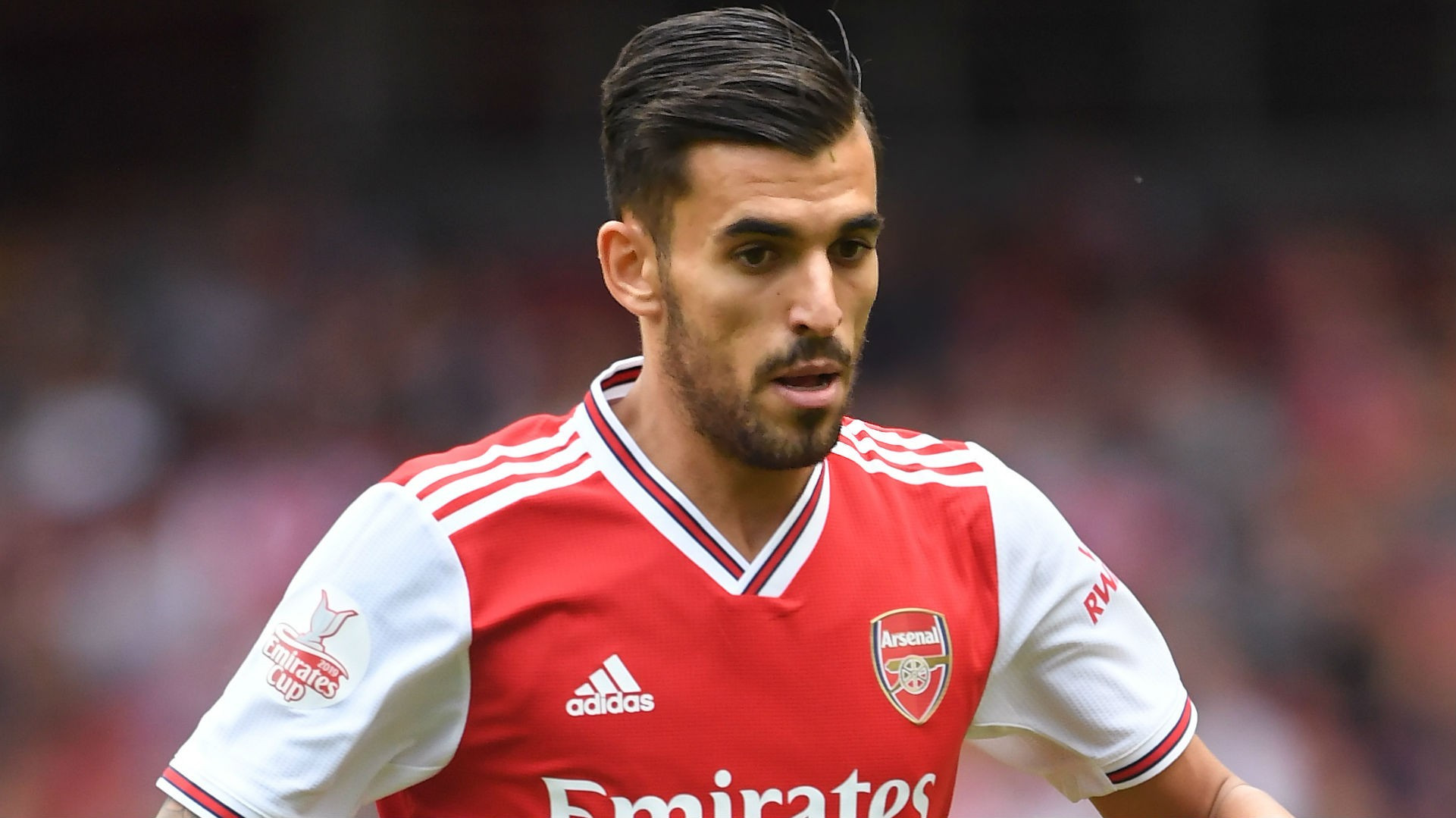 dani-ceballos-arsenal-2019-20_1319wsph5cxi12psr4lcphzfc