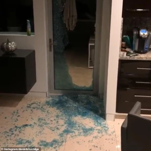 სტარიჯს ლოს-ანჯელესში სახლი გაუტეხეს და ძაღლი მოპარეს (ვიდეო)