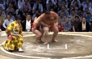 ყველაზე მცირეწონიანმა სუმოისტმა ბრწყინვალე გამარჯვება მოიპოვა (ვიდეო)
