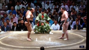 ტოჩინოშინი ოსუნაარაშის წინააღმდეგ - გამორჩეული ტანის მქონე მებრძოლები (ვიდეო)