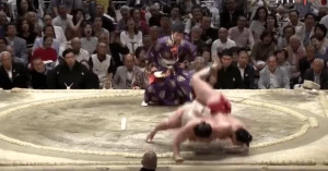 ყველაზე მცირეწონიანი სუმოისტის ბრწყინვალე ბრძოლა - შიმპანების გადაწყვეტილებით ენჰო მეისეისთან დამარცხდა (ვიდეო)