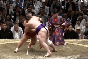 ტოჩინოშინის მეორე დამაჯერებელი გამარჯვება ნაცუ ბაშოზე (ვიდეო)