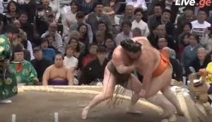 ლეგენდა ისევ იგებს - ჰაკუჰოს მესამე გამარჯვბა ჰარუ ბაშოზე (ვიდეო)