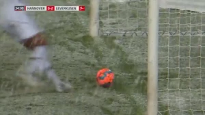კურიოზული მომენტი ჰანოვერი - ლევერკუზენის მატჩიდან (ვიდეო)