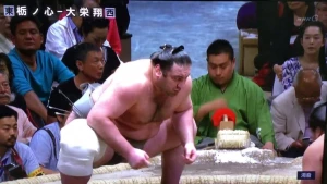 ტოჩინოშინის და დაიეიშოს გამორჩეული ბრძოლა  (ვიდეო)