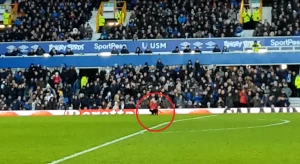 ევერტონი - ვულვზის მატჩი მოედანზე შეჭრილმა კატამ შეწყვიტა (ვიდეო)