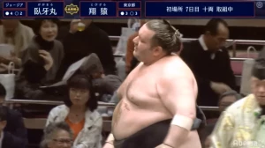 გაგამარუს დასანანი მარცხი ტობიზარუსთან (ვიდეო)