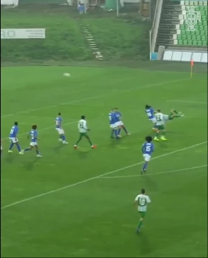 პორტუგალიის თასზე ულამაზესი გოლი გავიდა (ვიდეო)