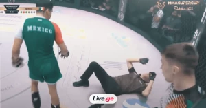 MMA-ს მებრძოლმა მსაჯი დაანოკაუტა