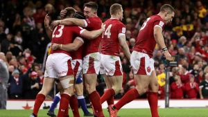 უელსი ირლანდიის წინააღმდეგ დაირაზმა (შემადგენლობა)