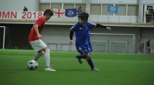 პატარა დინამოელების შესანიშნავი ცრუმოძრაობები (ვიდეო)