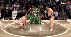 თეთრმა ფენიქსმა მორიგი მარტივი გამარჯვება მოიპოვა (ვიდეო)