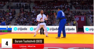 დიუსელდორფის გრანდ სლემის 15 საუკეთესო იპონი (ვიდეო)