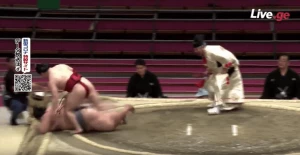 ენჰო მოქმედ ჩემპიონს წარმატებით გაუმკლავდა (ვიდეო)