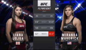 ჯოჯუა მავერიკთან ტექნიკური ნოკაუტით დამარცხდა (ვიდეო)