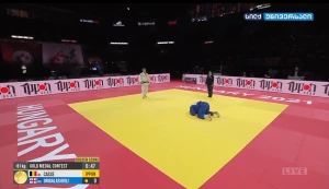 ტატო გრიგალაშვილმა მსოფლიო ჩემპიონატზე ვერცხლის მედალი მოიპოვა (ვიდეო)