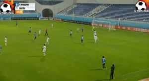 შესანიშნავი მაკრატელა იაპონიის ჩემპიონატში (ვიდეო)