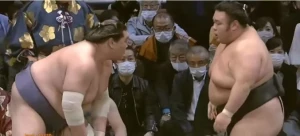 ტერუნოფუჯიმ ნოემბრის ბაშო 15 მოგებით დაასრულა | VIDEO