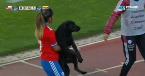 ჩილესა და ვენესუელას ქალთა ნაკრებების მატჩისას მოედანზე ძაღლი შეიჭრა