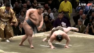 საოცარი ბრძოლა - მოქმედმა ჩემპიონმა ყველა დროის საუკეთესო იოკოძუნა ჰაკუჰო დაამარცხა