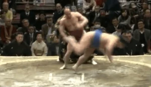 90 კილოგრამიანი სუმოისტის ჰენკა და ტრიბუნებზე გადავარდნილი მეტოქე (ვიდეო)