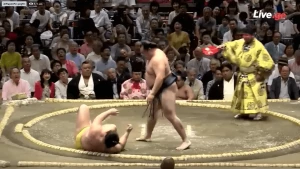 იოკოძუნა კაკურიუმ ენდოს შანსი არ დაუტოვა (ვიდეო)