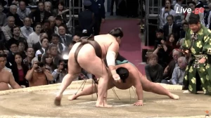 იოკოძუნა ჰაკუჰოს უმარტივესი გამარჯვება მეისეისთან (ვიდეო)