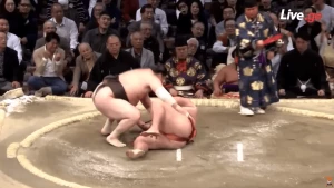 იოკოძუნა ჰაკუჰოს ულამაზესი გამარჯვება მიტაკეუმისთან (ვიდეო)