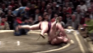 სენსაცია ჰაცუ ბაშოზე - ენდომ ჰაკუჰო ულამაზესი გდებით დაამარცხა, რასაც ბალიშების წვიმა მოჰყვა (ვიდეო)