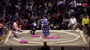 მიოგირიუს საოცარი სტარტი - მან ჰაკუჰოს შემდეგ იოკოძუნა კაკურიუც დაამარცხა (ვიდეო)