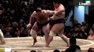 ტოჩინოშინმა ჰაცუ ბაშო მიოგირიუსთან მარცხით დაასრულა (ვიდეო)