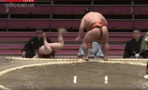 ენჰო მიტაკეუმისთან დამარცხდა (ვიდეო)