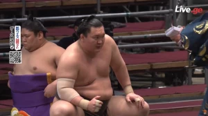 შვიდიდან შვიდი ! იოკოძუნა ჰაკუჰომ მიტაკეუმი დაამარცხა (ვიდეო)